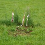 Keine Ahnung was da geschützt wird