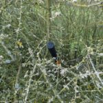 Ungewöhnlicher Standort Ungewöhnlicher Standort