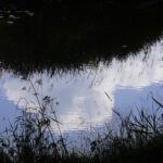 Spieglein, Spieglein in der Waldnaab... Spieglein, Spieglein in der Waldnaab...