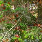 Der höchste Punkt des Landkreises Neumarkt in der Oberpfalz Der höchste Punkt des Landkreises Neumarkt in der Oberpfalz