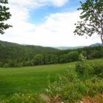 Auch im Bayerwald gibt es sanfte Almwiesen