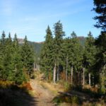 Ziel in Sicht Ziel in Sicht