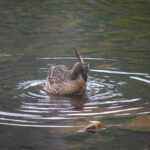 Körperhygiene Körperhygiene