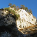 Die flache Novembersonne brachte Lichtspiele mit sich