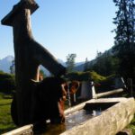 Da ist die Kuh noch friedlich und trinkt