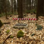 Rangierhilfe im Wald