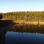 Mittlerer Pegelstand