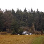 Verfallen, aber nicht vergessen Verfallen, aber nicht vergessen