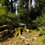 Höchster Punkt des Rotherbergs Höchster Punkt des Rotherbergs