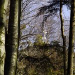 Der Ribezingriegel mit seinem Gipfelkreuz wird besser von der nächsthöheren Forststraße erreicht