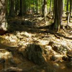 Über Stock und Stein Über Stock und Stein