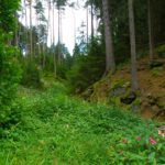 Einige Seitentäler sind ziemlich grün Einige Seitentäler sind ziemlich grün