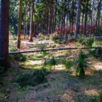 Wegsperre. Kann aber ignoriert werden