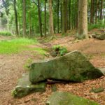 Aha, deswegen heißt die Quelle auch Kreuzbrunnen