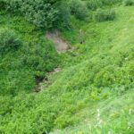 Erdrutsche können auch klein sein und keinen finanziellen Schaden anrichten Erdrutsche können auch klein sein und keinen finanziellen Schaden anrichten