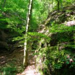 ...gesäumt von Felsen...