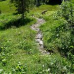 Einer von vielen Nebenbächen im Schwarzwassertal