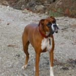 Bekomme ich jetzt meine Belohnung fürs Scouten?