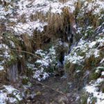 Frostkunst Frostkunst