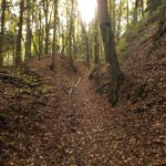 Schöner Hohlweg hinauf zur Kapellenruine