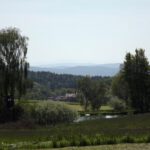 Durchblick in den Bayerischen Wald
