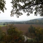 ...Altfalter von der... ...Altfalter von der...