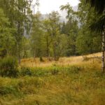 Im verfallenen Teil von Sedlo