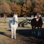 Zweisam und neugierig