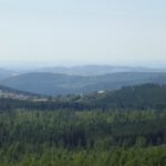 Finsterau und der Blick aus dem Wald hinaus Finsterau und der Blick aus dem Wald hinaus