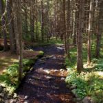 Mündung von Höllbach und Kolbersbach