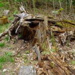 Wohnheim für kleine Nagetiere Wohnheim für kleine Nagetiere