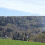 Baumwipfelstrich Baumwipfelstrich