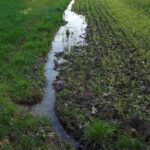 Pfützenquelle Pfützenquelle