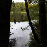 Kleiner Gaisweiher mit Spiegelung