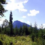 Der Vorderskopf wird mich die gesamte Tour über begleiten