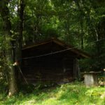 Jagdhütte mit Hundequälvorrichtung Jagdhütte mit Hundequälvorrichtung