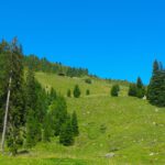 Hochblick zur Prielalm Hochblick zur Prielalm