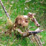 Erdelementar in Aktion