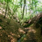 ...führt der Weg immer am Bach entlang