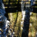 Aber die einfachen Eiszapfen sind nicht weniger schön Aber die einfachen Eiszapfen sind nicht weniger schön