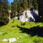 Noch steht die Sonne ziemlich tief und sorgt für ansehnliche Schattenspiele