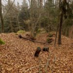 Burgmauer oder Doline am Kühberg?