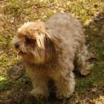 Tommy war auch dabei