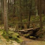 Perfekter Gruppenfotoort