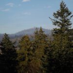 Lusen von relativ weit unten im Aussichtsturm