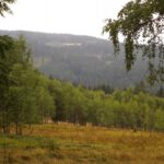 Auch die Lichtung am Hang ist eine Wüstung