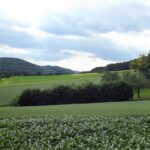 In der fränkischen Alb