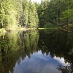 Boubínské jezírko