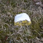 Zugewachsener Grenzstein