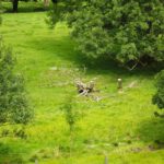 Skelett am Portalstein Skelett am Portalstein